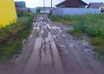 Следственный комитет проверяет жалобы жителей Бухарино на разбитую дорогу