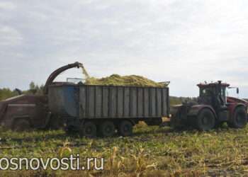 На всех культурах, в полную силу: аграрии собирают большой урожай-2025