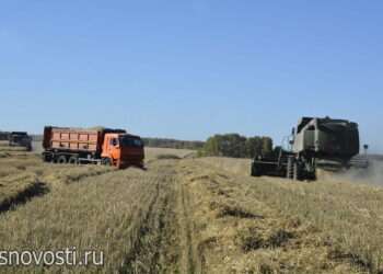 Убрать, вывезти, сохранить: работы в полях не останавливаются ни на день