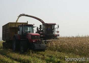 Аграрии подводят первые итоги и близятся к завершению уборки