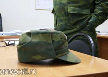 Как организациям получить субсидию за наставничество