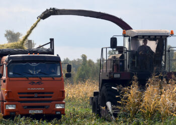 Урожай в закромах: в Сосновском округе подвели итоги уборочной кампании