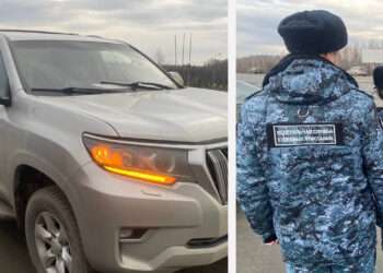 В копилке 87 неоплаченных штрафов: водителя ждут неприятности