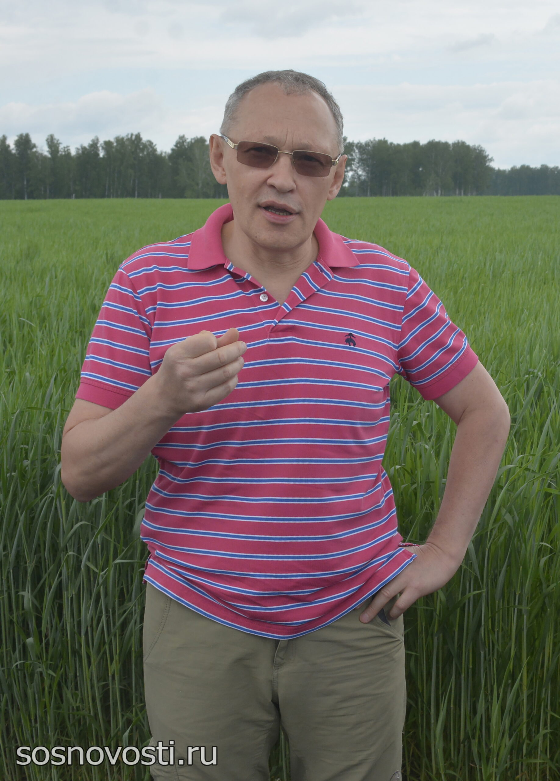 Сосновские аграрии признаны лучшими в регионе