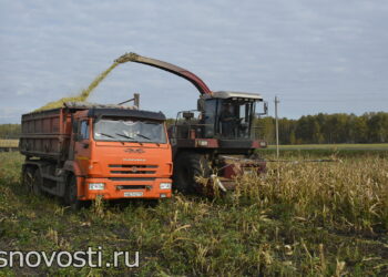 Сосновские аграрии признаны лучшими в регионе