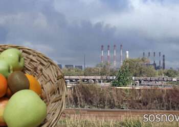 Как связаны загрязнение окружающей среды и питание