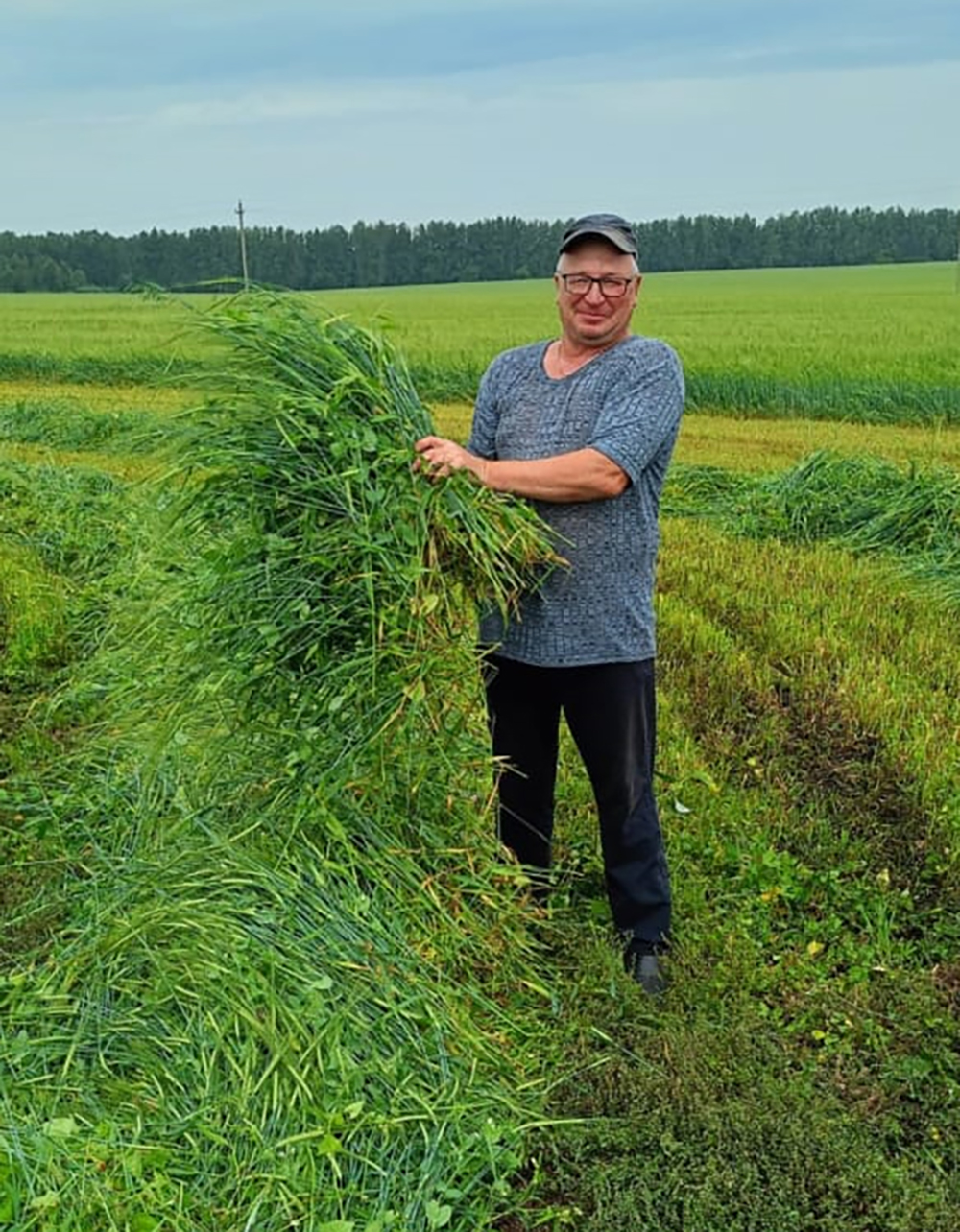 Сосновские аграрии признаны лучшими в регионе
