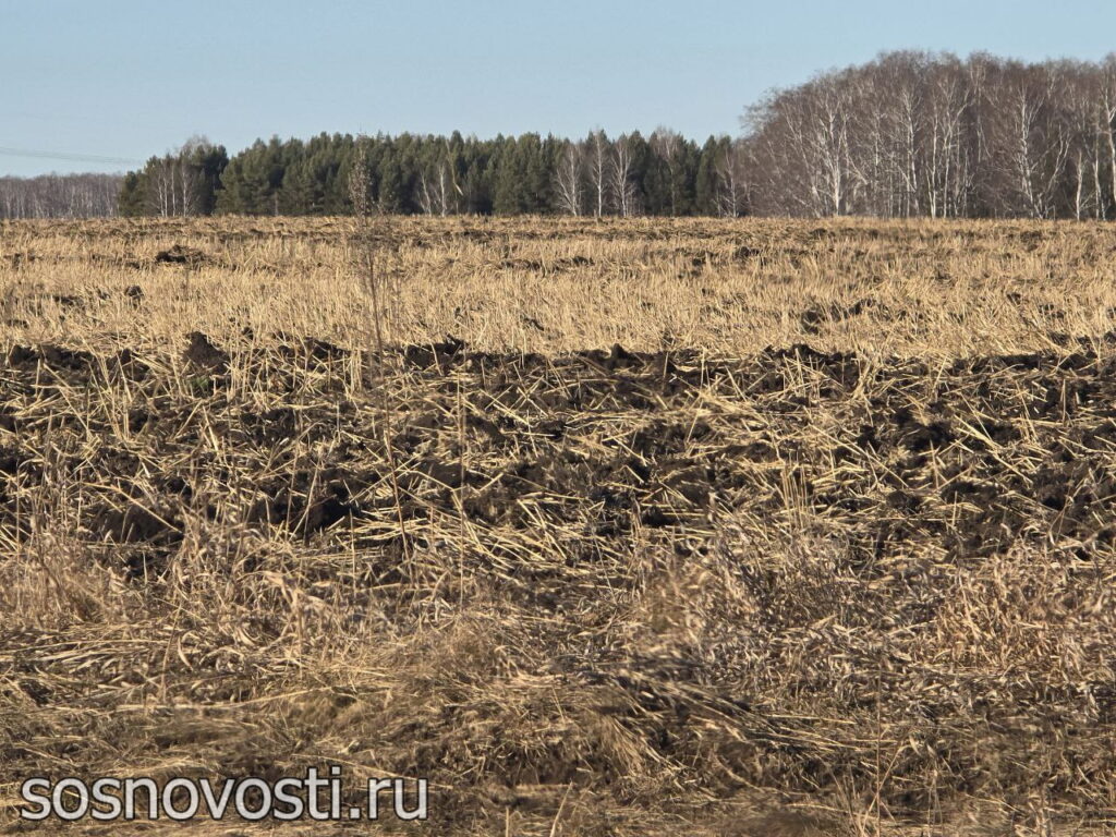  Как победить осеннюю усталость? Советы для тайного общества