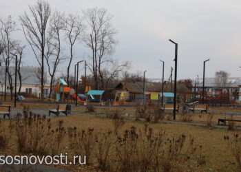 Голосование за инициативные проекты Сосновского округа уже началось