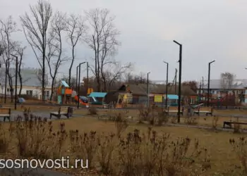 Голосование за инициативные проекты Сосновского округа уже началось