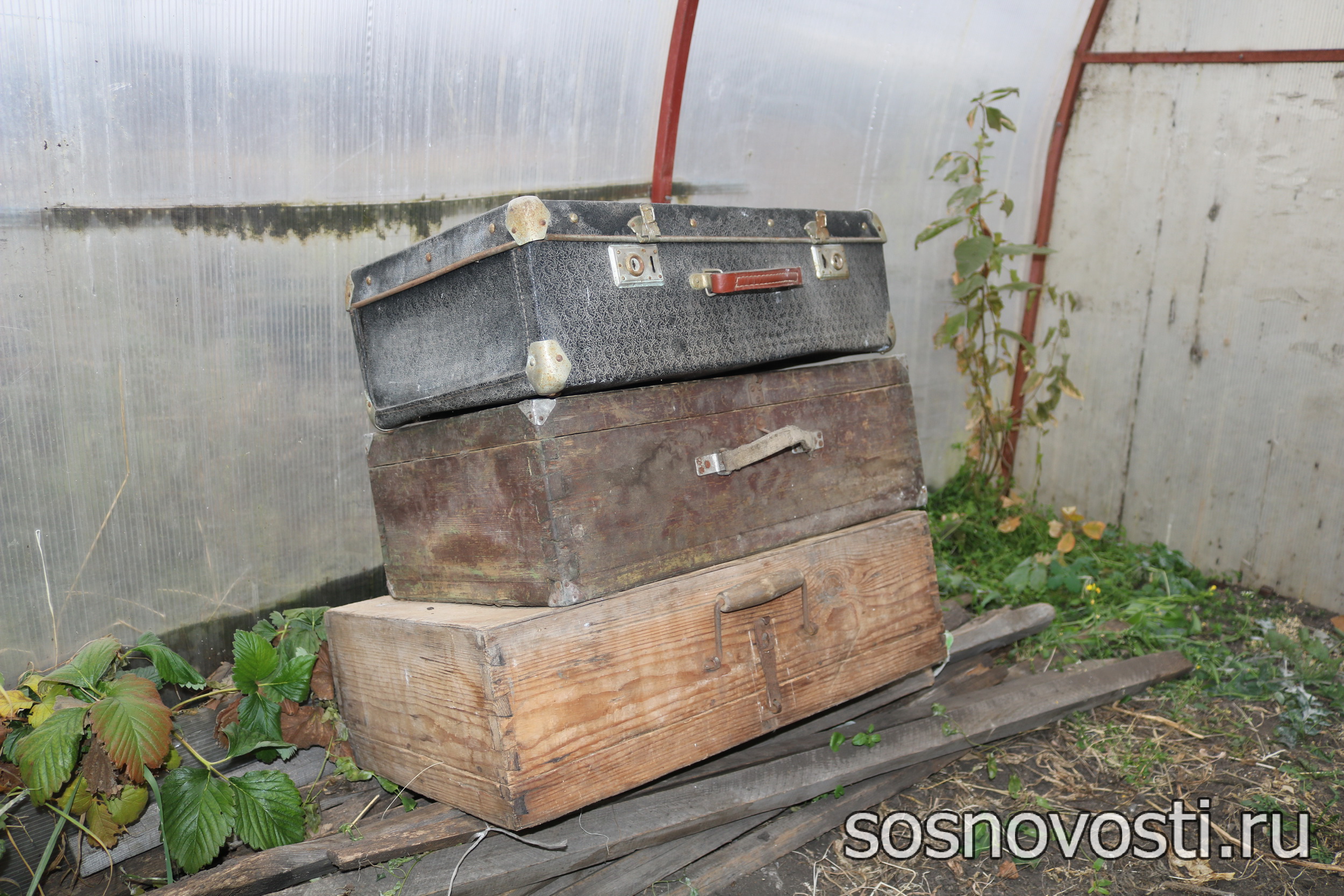 История на каждом шагу: