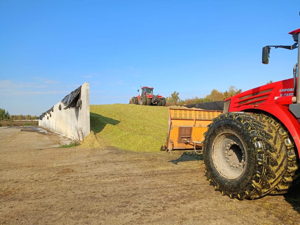 Урожай в закромах: в Сосновском округе подвели итоги уборочной кампании