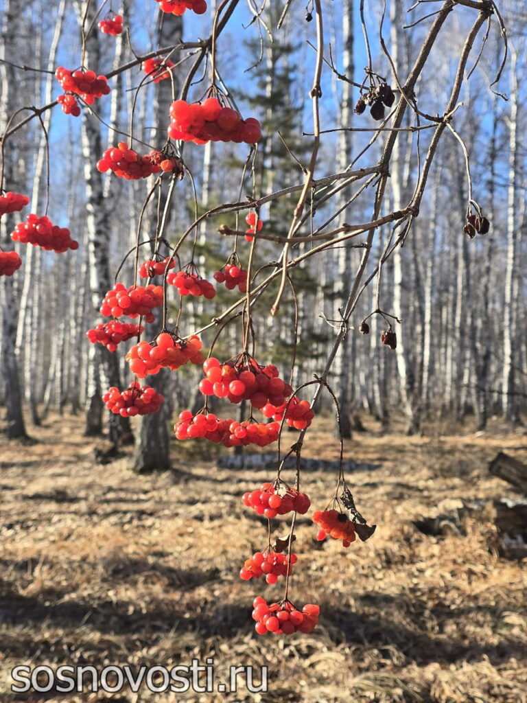  Как победить осеннюю усталость? Советы для тайного общества