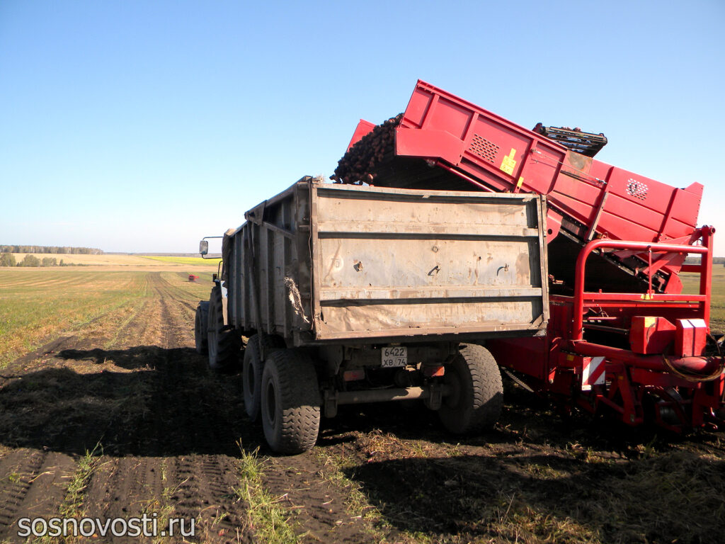 Урожай в закромах: в Сосновском округе подвели итоги уборочной кампании