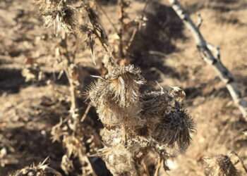 Как победить осеннюю усталость? Советы для тайного общества