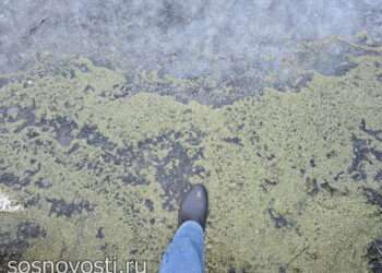 В Сосновском округе начали замерзать водоемы