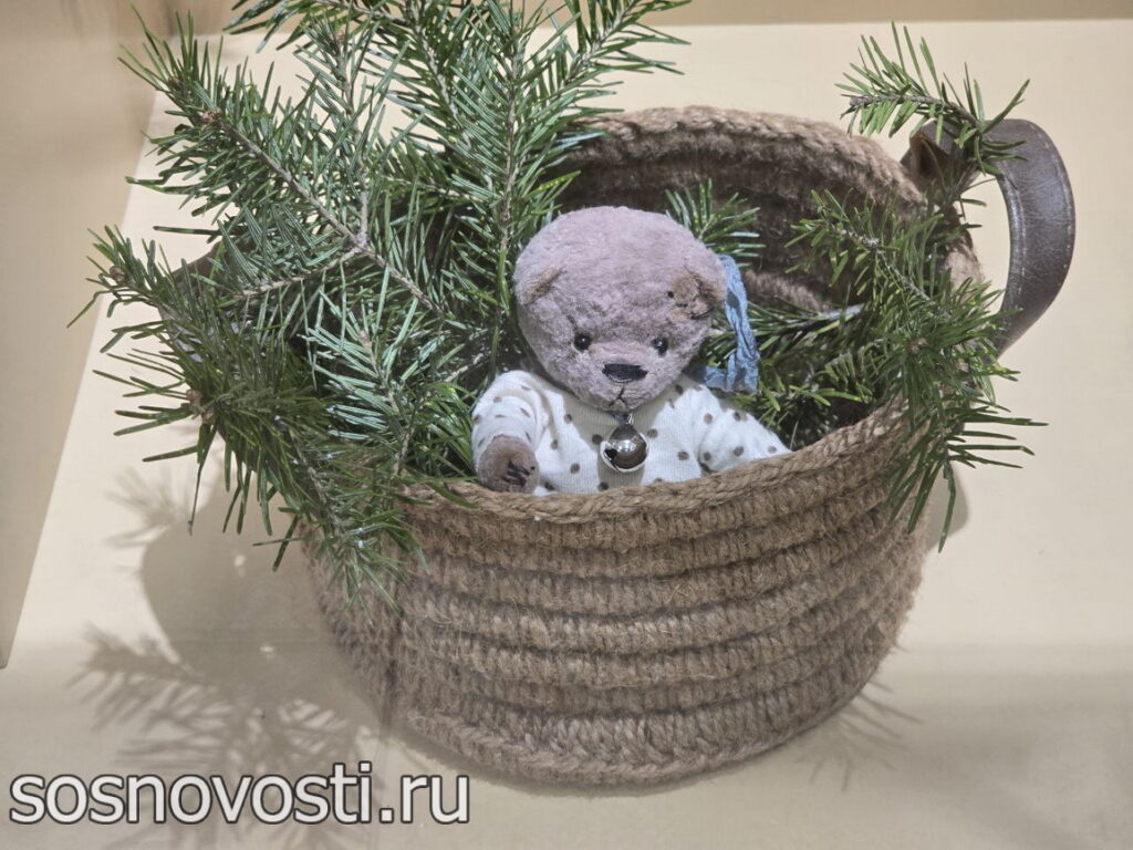 Мишки из Кусы гостят в Сосновском районе