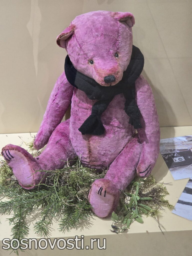 Мишки из Кусы гостят в Сосновском районе