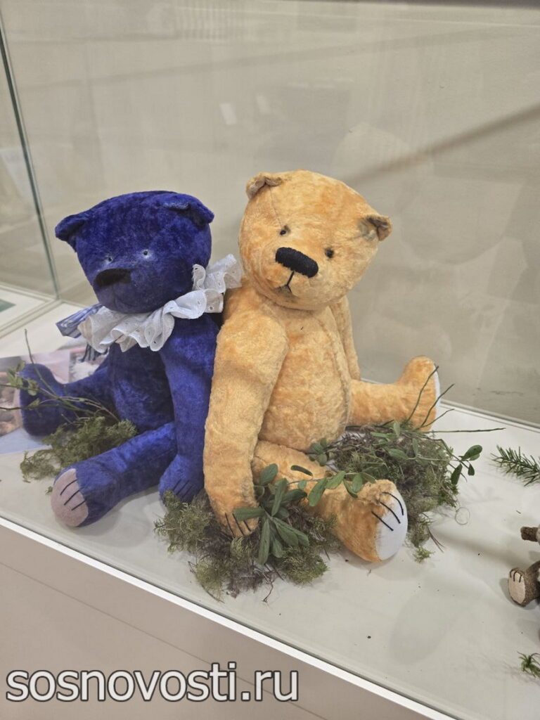 Мишки из Кусы гостят в Сосновском районе