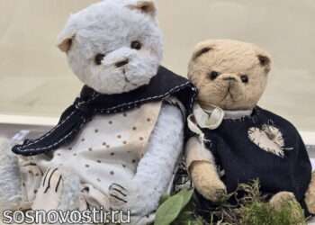 Мишки из Кусы гостят в Сосновском районе