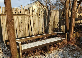 Народные приметы на предстоящую зиму