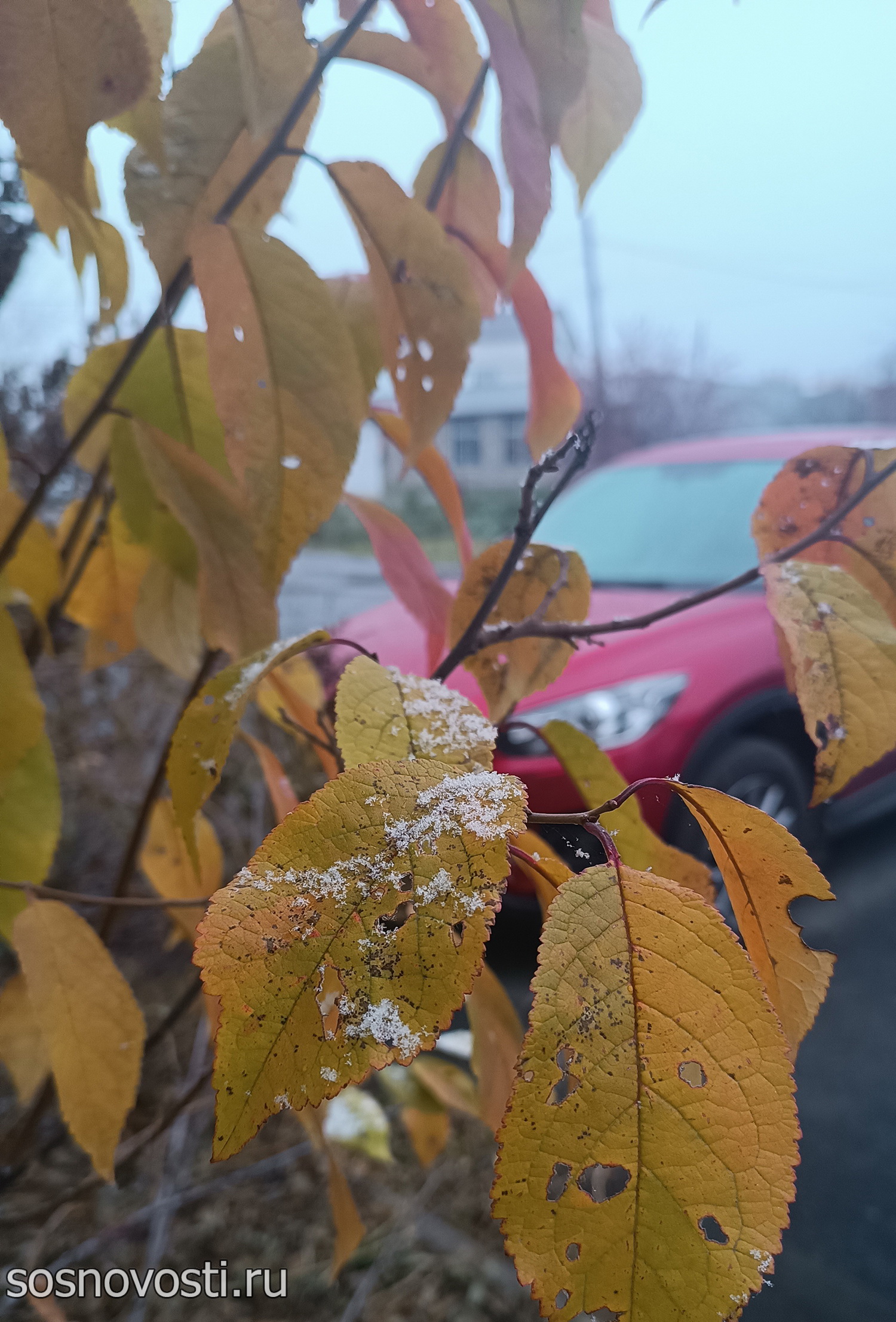 Народные приметы на предстоящую зиму