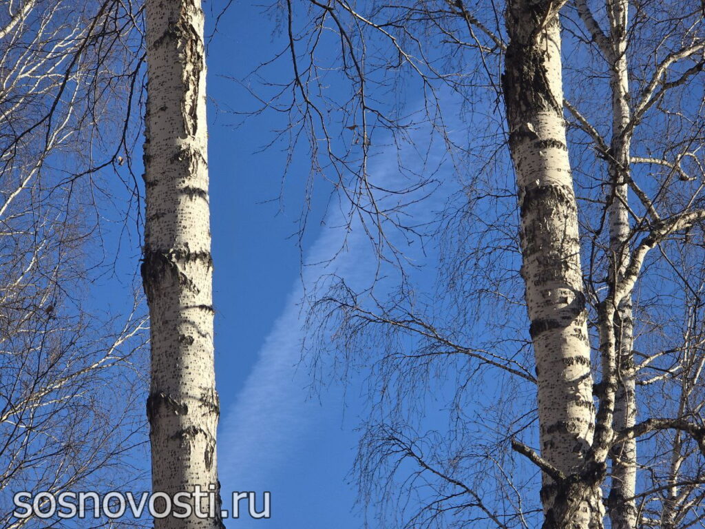  Как победить осеннюю усталость? Советы для тайного общества