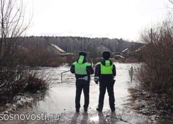 Тонкий лед: сотрудники ГАИ спасли мальчика, едва не утонувшего на водоеме