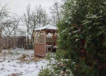 Народные приметы ноября: наблюдаем за погодой и птицами