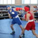 В Рощино прошел турнир по боксу