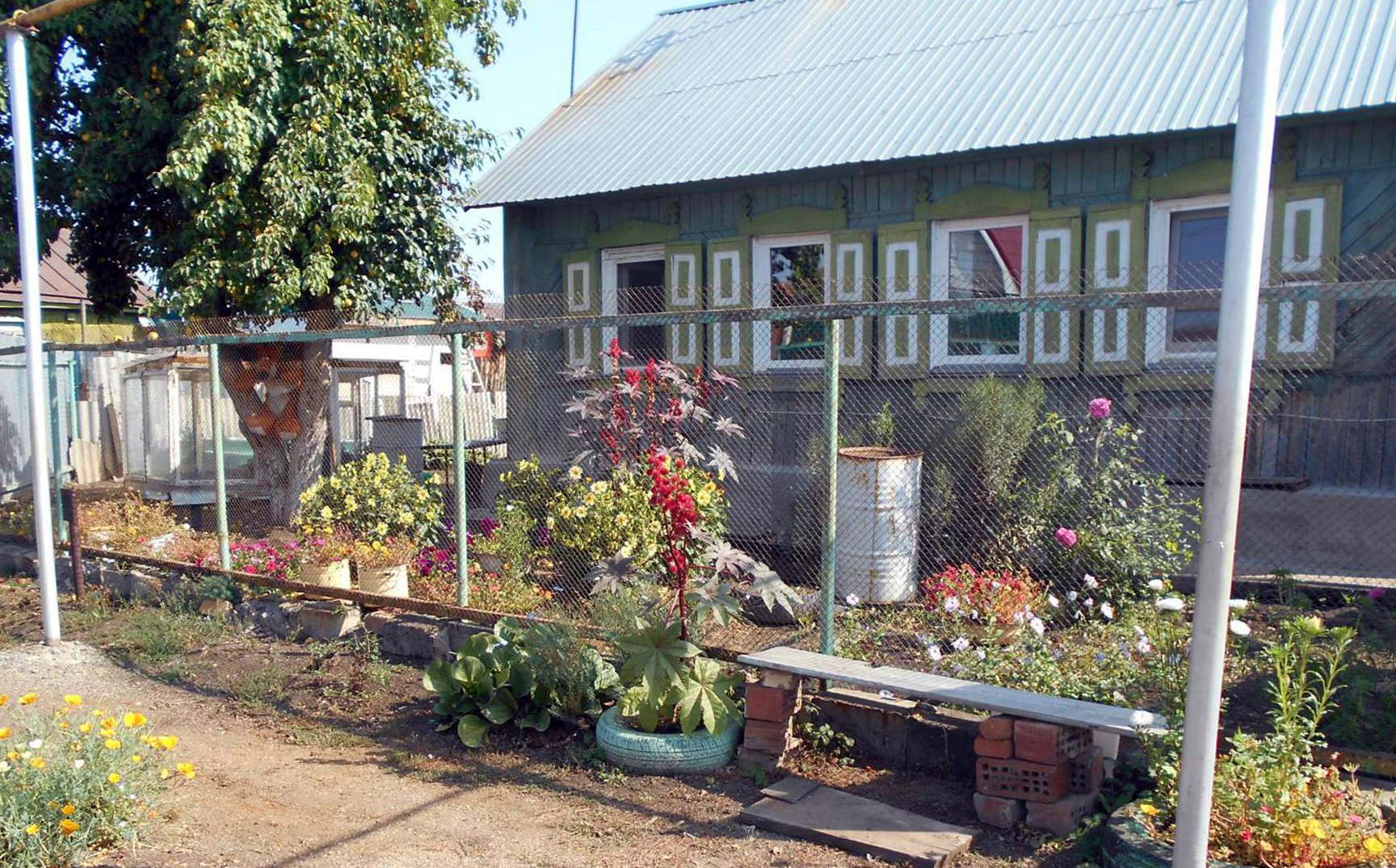 Два сосновских хозяйства в годы войны стали цехами Кировского завода