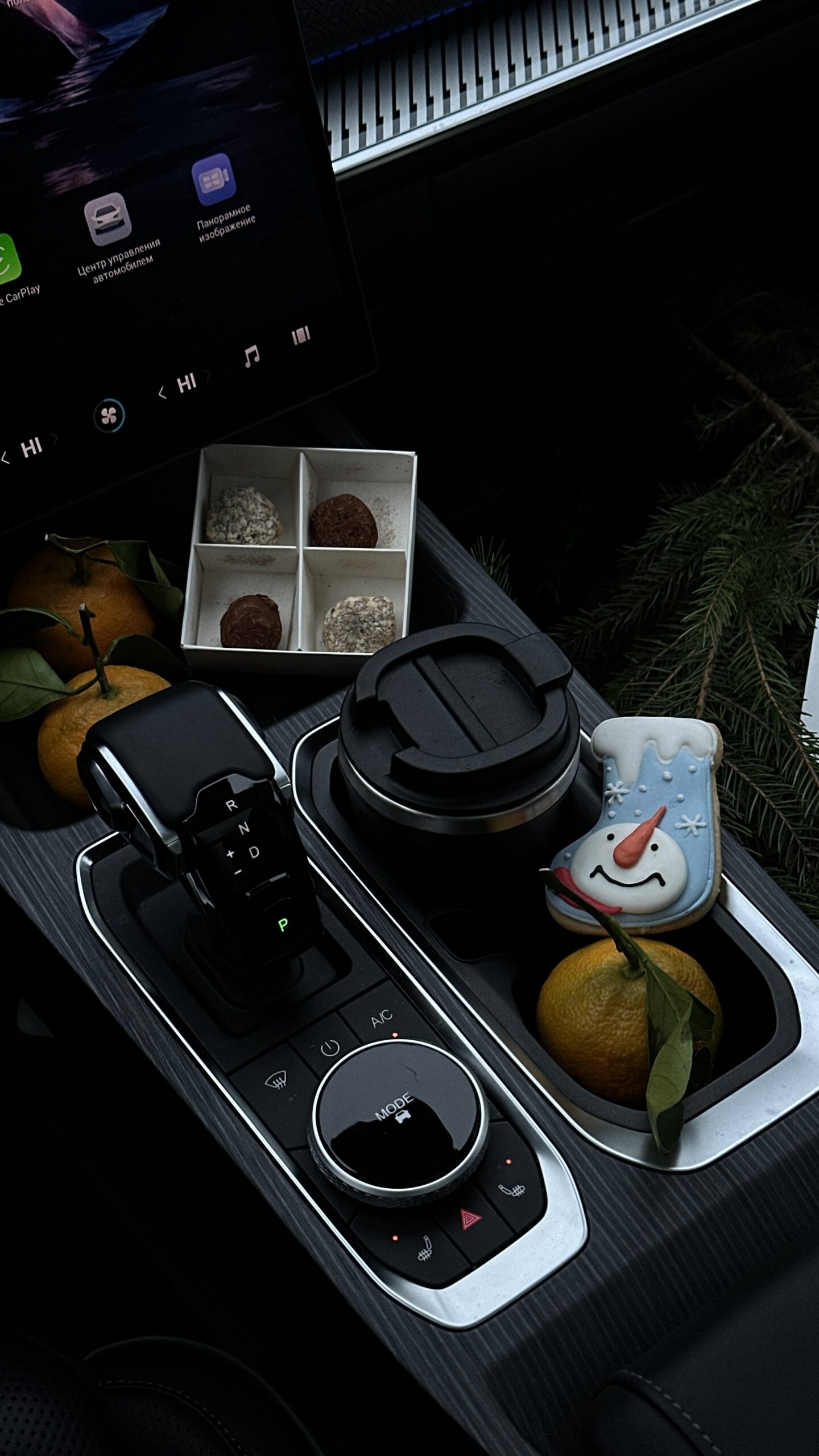 Теплые опции в JAECOO J7: Почему они важны при выборе автомобиля в современном мире