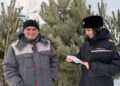 Полицейские напомнили о штрафах за вырубку хвойных
