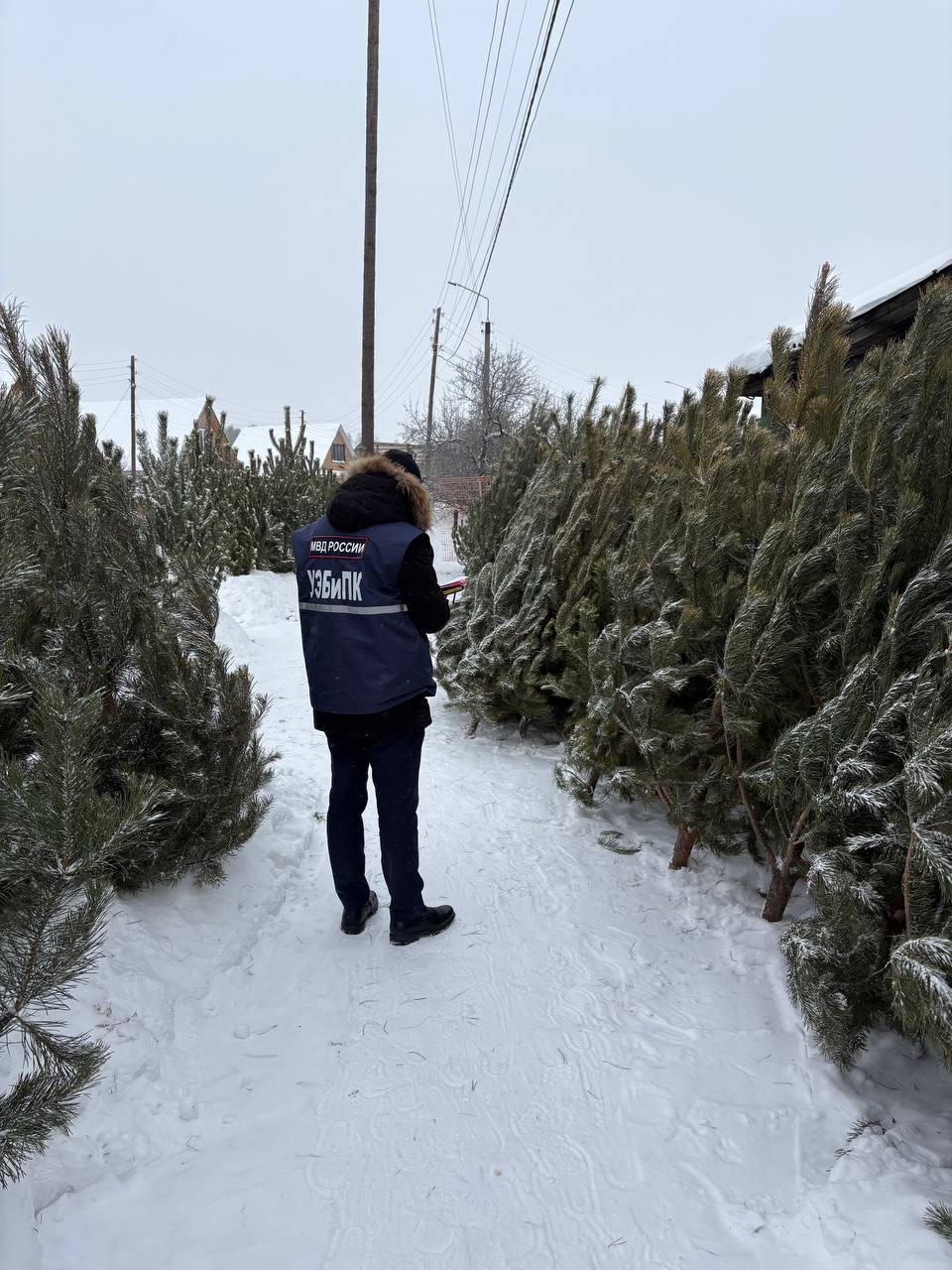 Полицейские проверили точки продажи пиротехники и новогодних елей