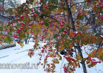 Екатерина-санница: как разгадать приметы 7 декабря