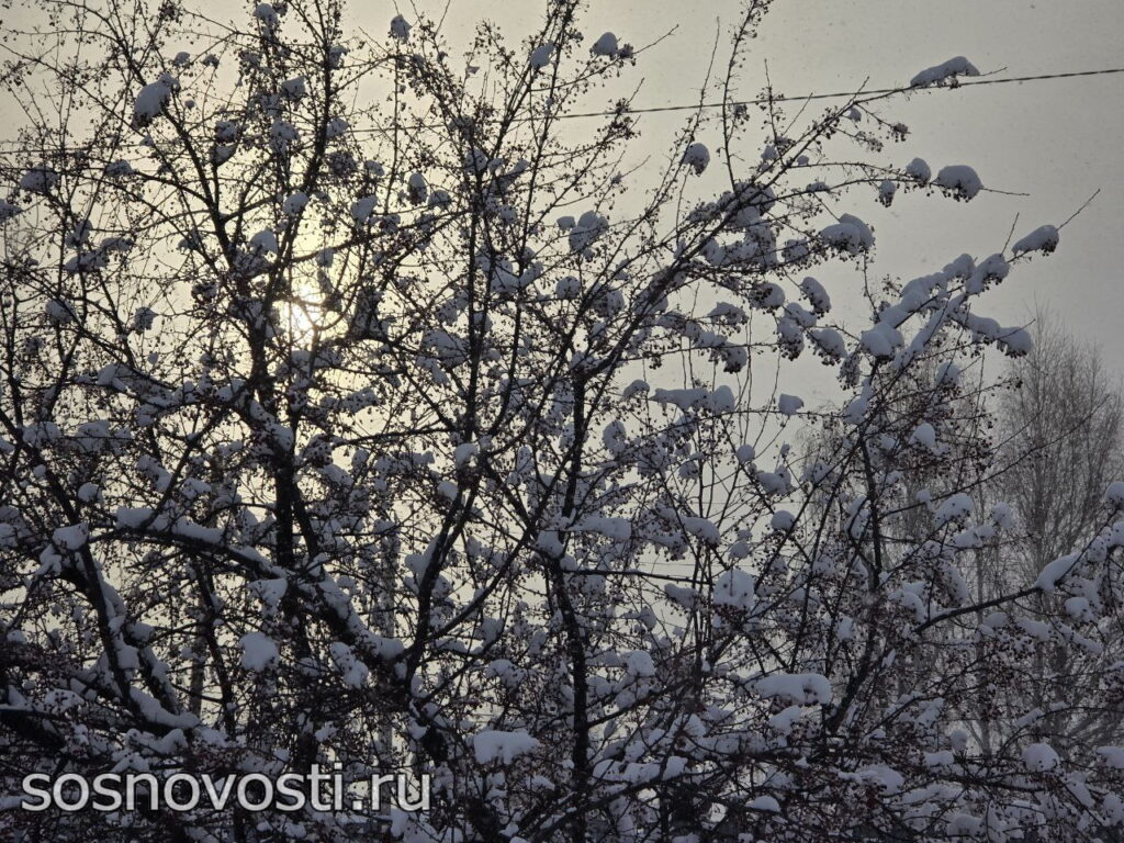 В Челябинской области объявили первое зимнее штормовое предупреждение