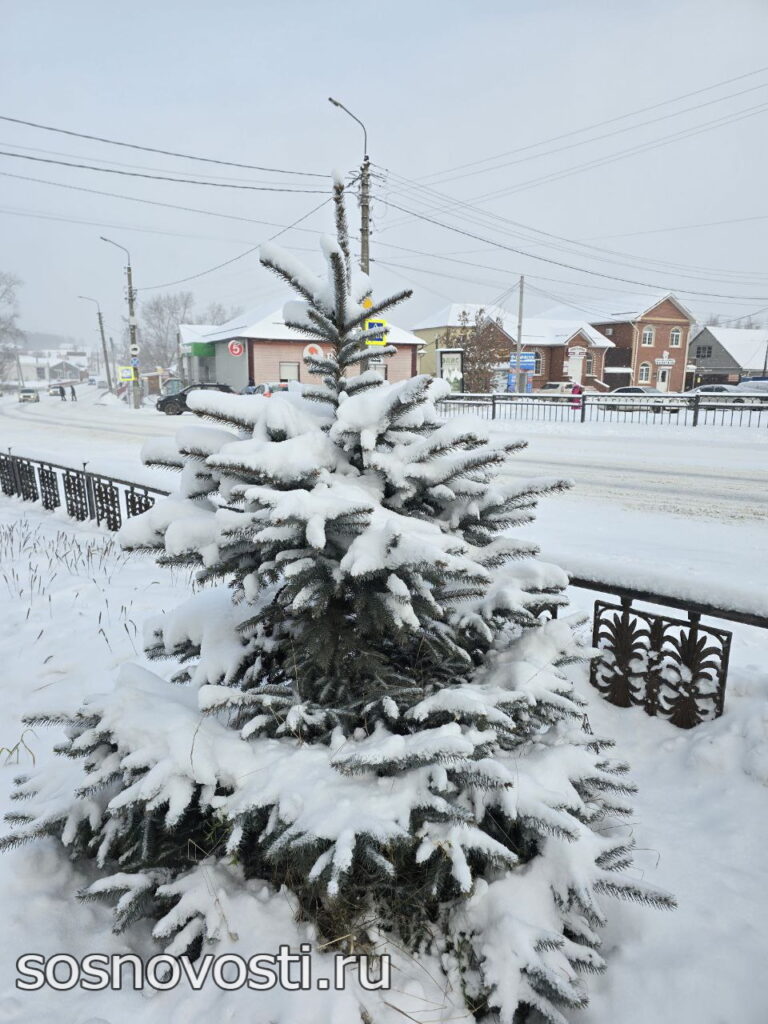В Челябинской области объявили первое зимнее штормовое предупреждение