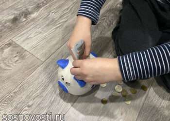 Социальные выплаты в Челябинской области вырастут с нового года