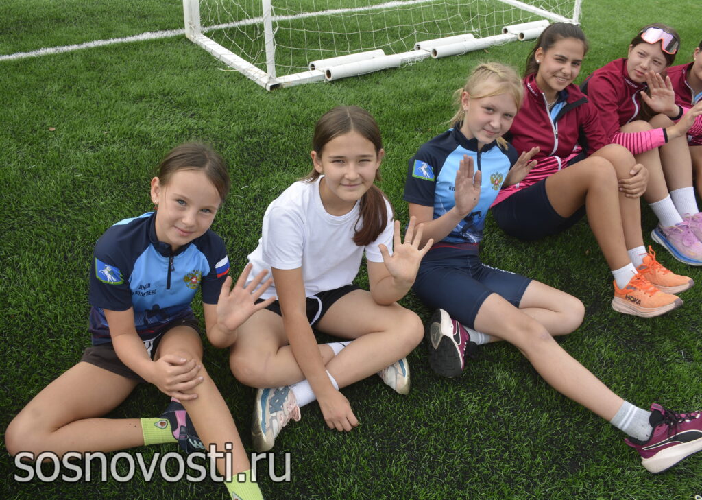 В Сосновском округе впервые прошла ассамблея общественных объединений