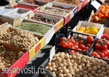 В Сосновском округе директор и бухгалтер фирмы предстанут перед судом