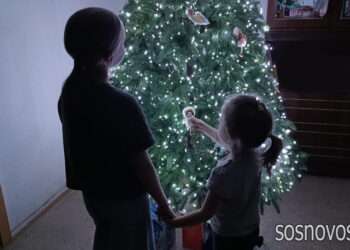 Семейное счастье под ёлкой: в Сосновском округе помогли детям сохранить праздник