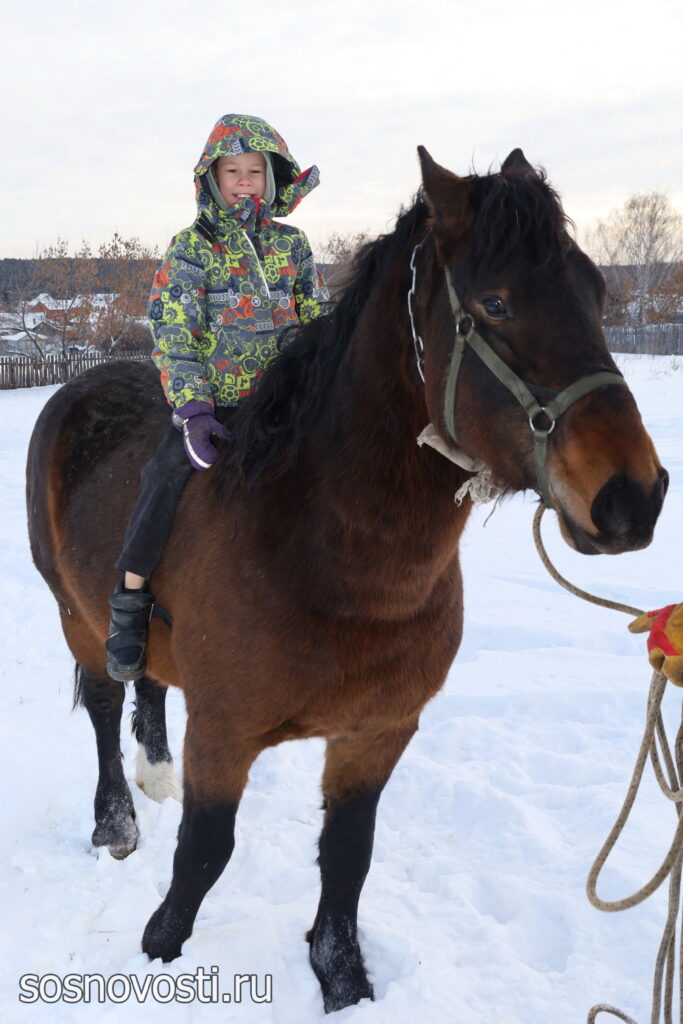 Участник СВО рассказал, чего он ждёт от символа года