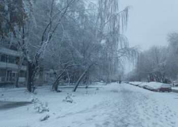 Жителей региона ожидает морозная неделя. Готовьтесь!