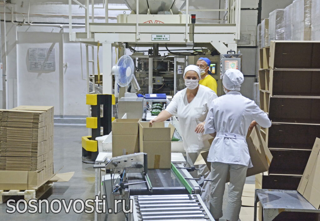 В Сосновском округе впервые прошла ассамблея общественных объединений