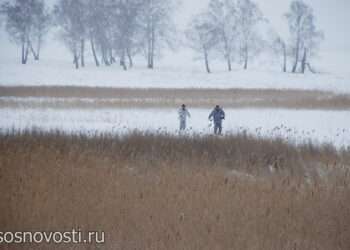 В Челябинской области идет «снежная перепись» диких животных