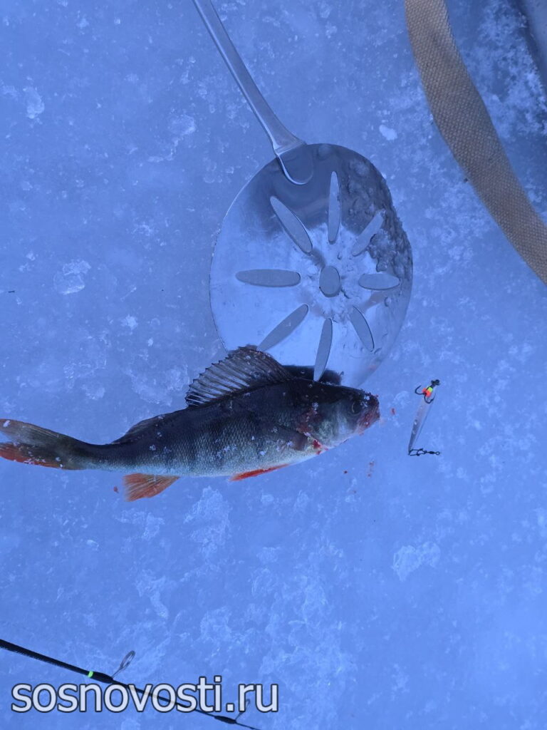 В Челябинской области к выходным станет теплее