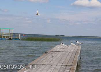 В гибели мальчика обвиняют владелицу базы