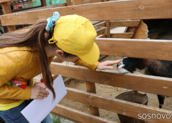 В Сосновском округе назвали лучших предпринимателей года в сфере туризма