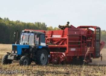 Сосновские фермеры превзошли областной рекорд по урожайности картофеля