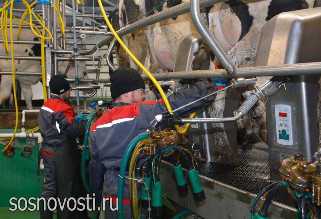 В Сосновском округе впервые прошла ассамблея общественных объединений